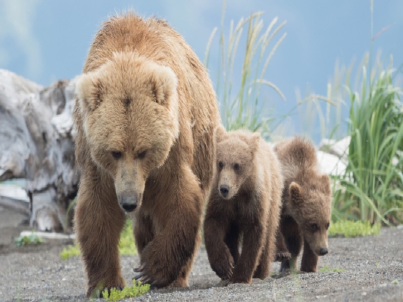 试管随访医嘱卡试管新发明试管试纸早早孕